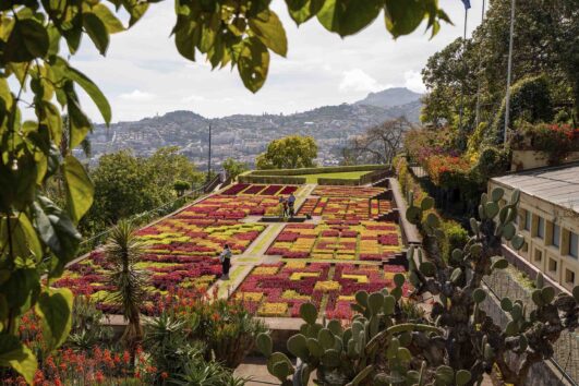 Botanical Garden Tour – 1H30